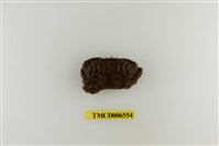 藏品(光輝瘤蟹)的圖片